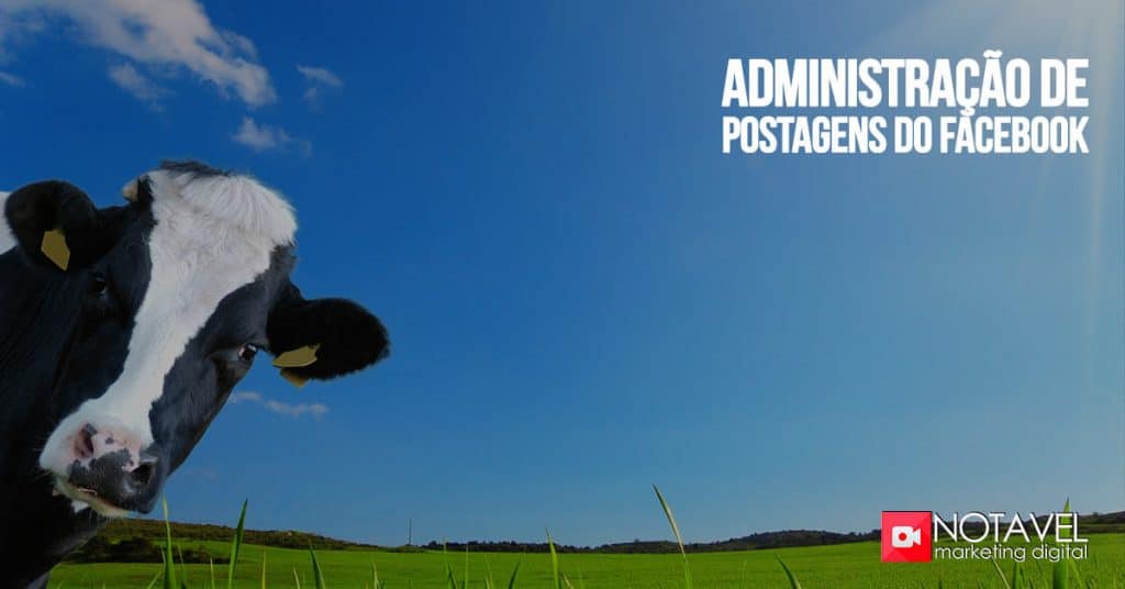 Administração de Postagens do Facebook 1 administracao de postagens do facebook
